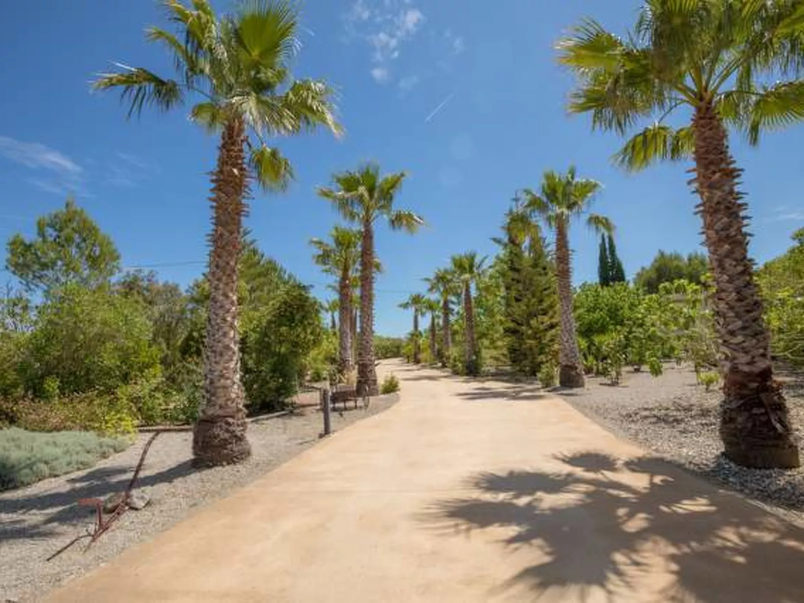 San Vicente - Draußen