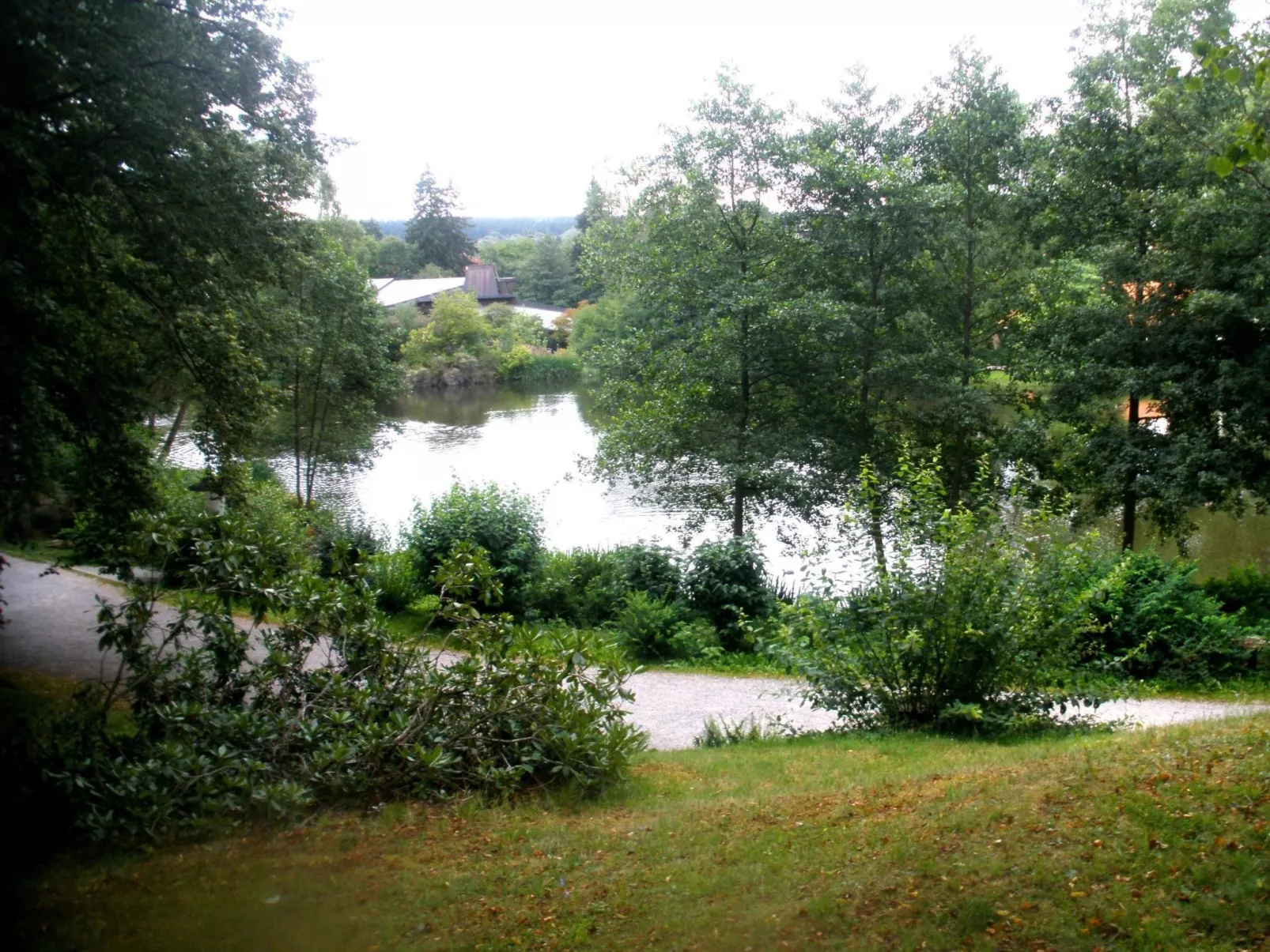 Tanne - Image-tags.info