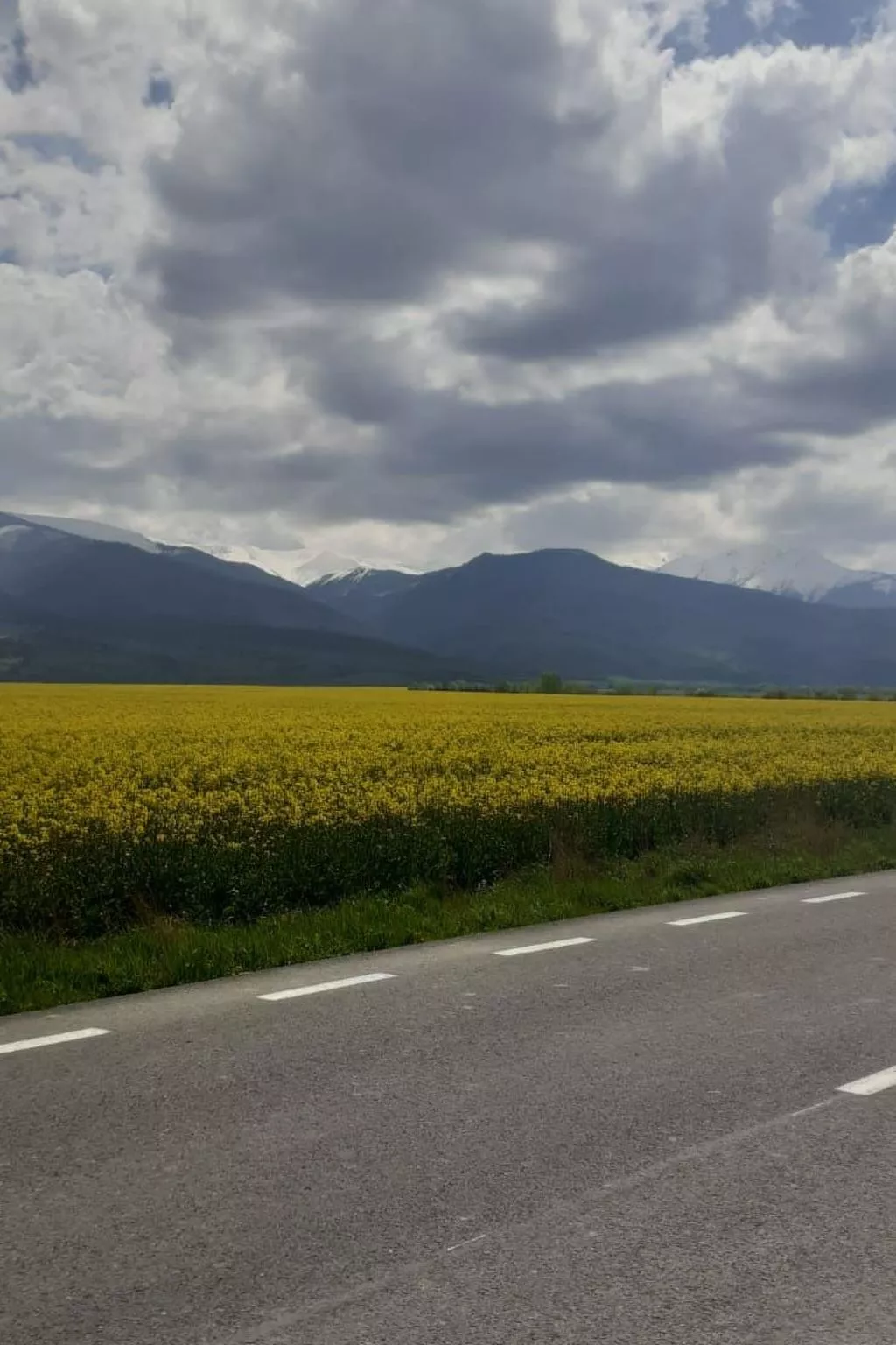 Vila Roberta Breaza Brasov - Outside