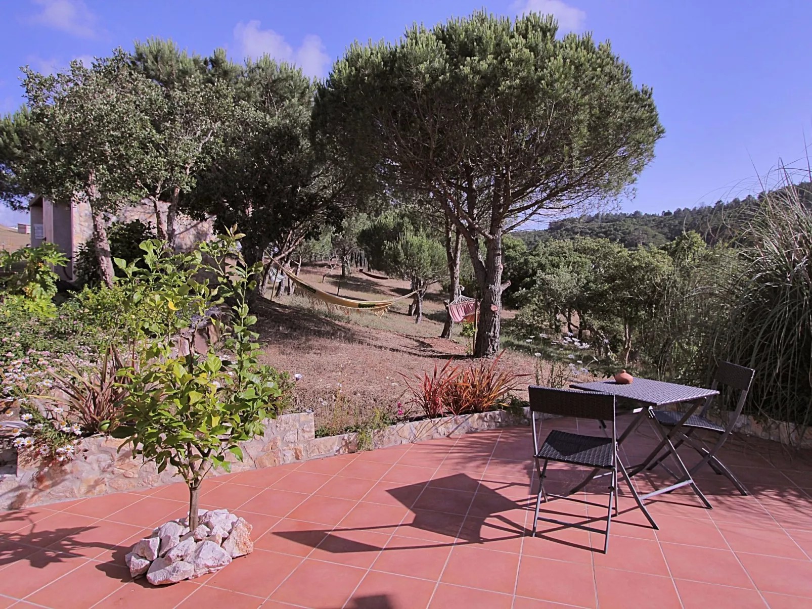 "The Natural Elements" - Outside