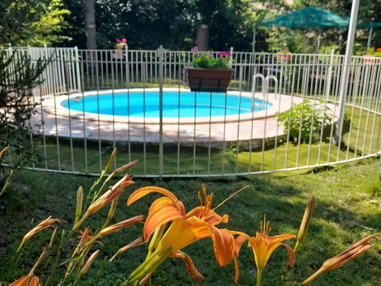 Podere Vallino - Dehors