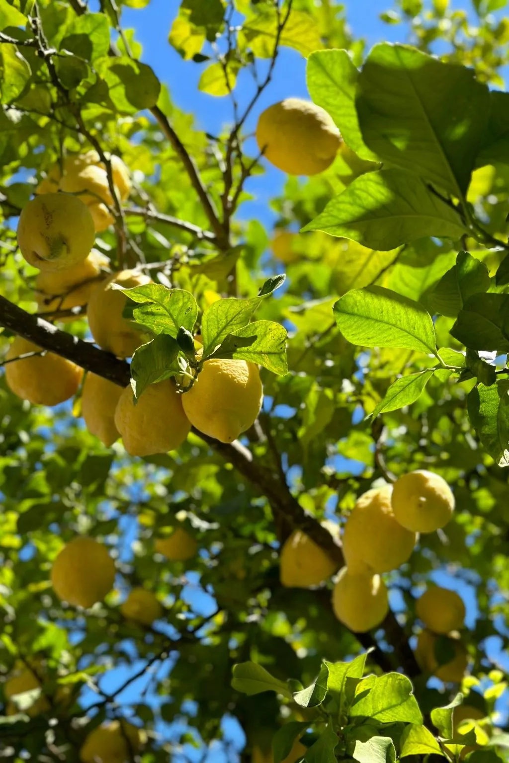 Landgut mit Blick auf das Wasser - Draußen