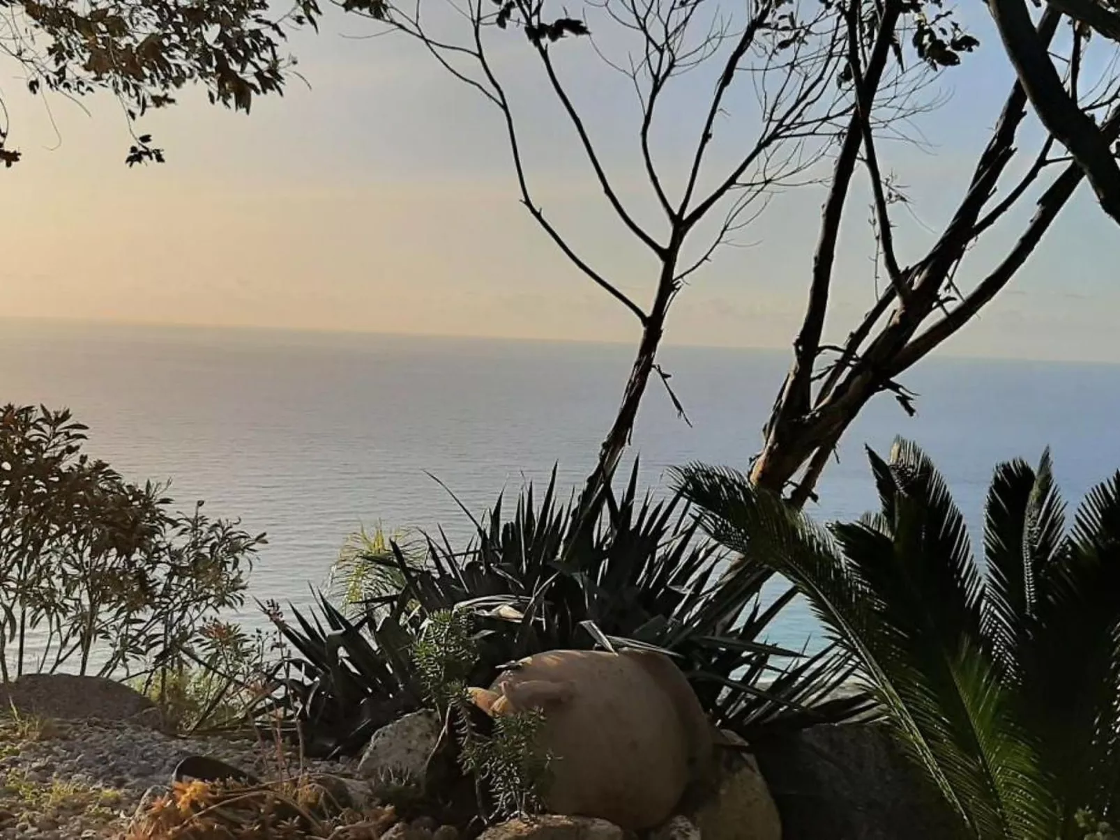 Villa Panorama Wohnung in privater Villa - Dehors