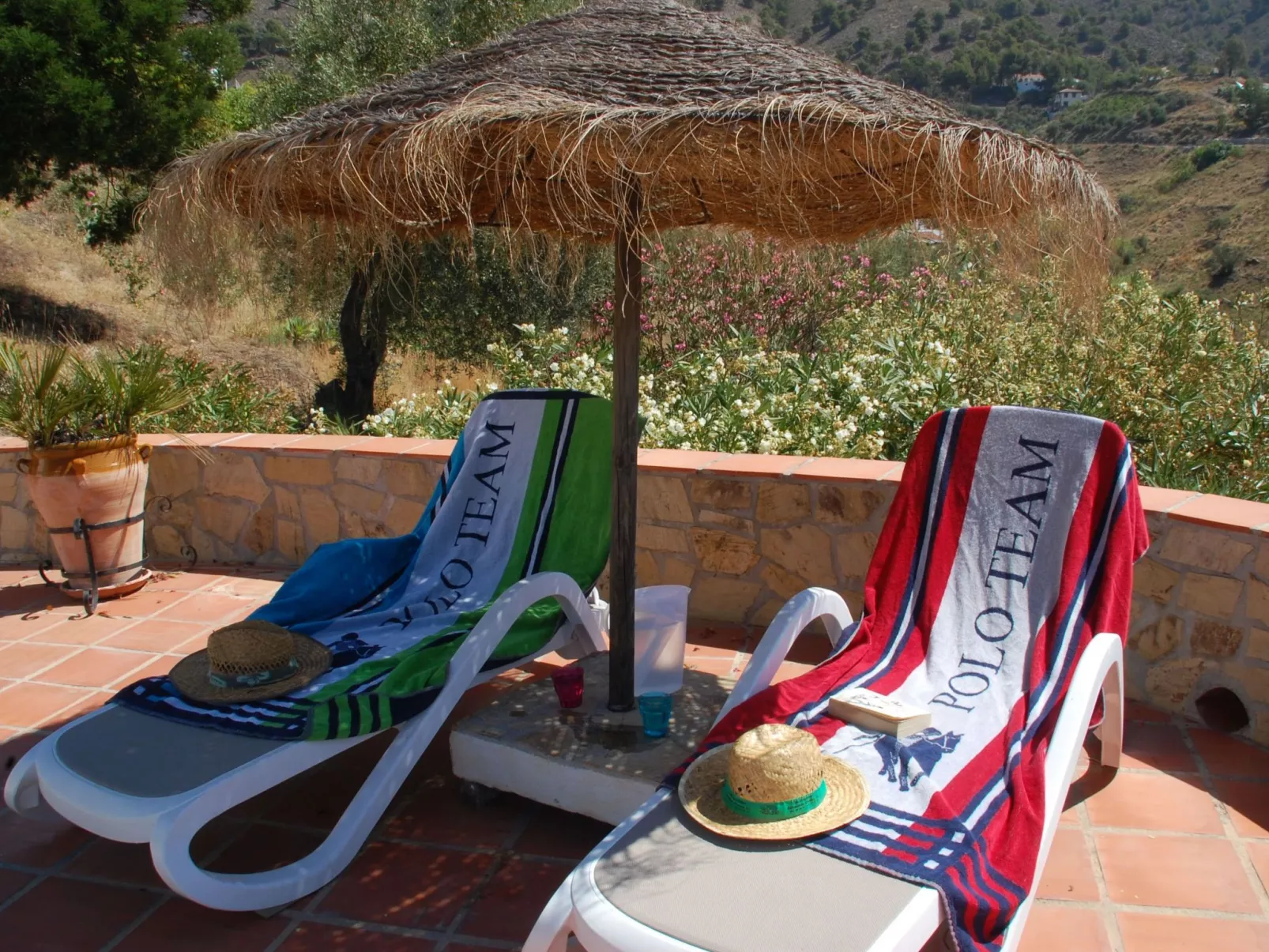 Finca "La Estrella de Cómpeta". - Dehors