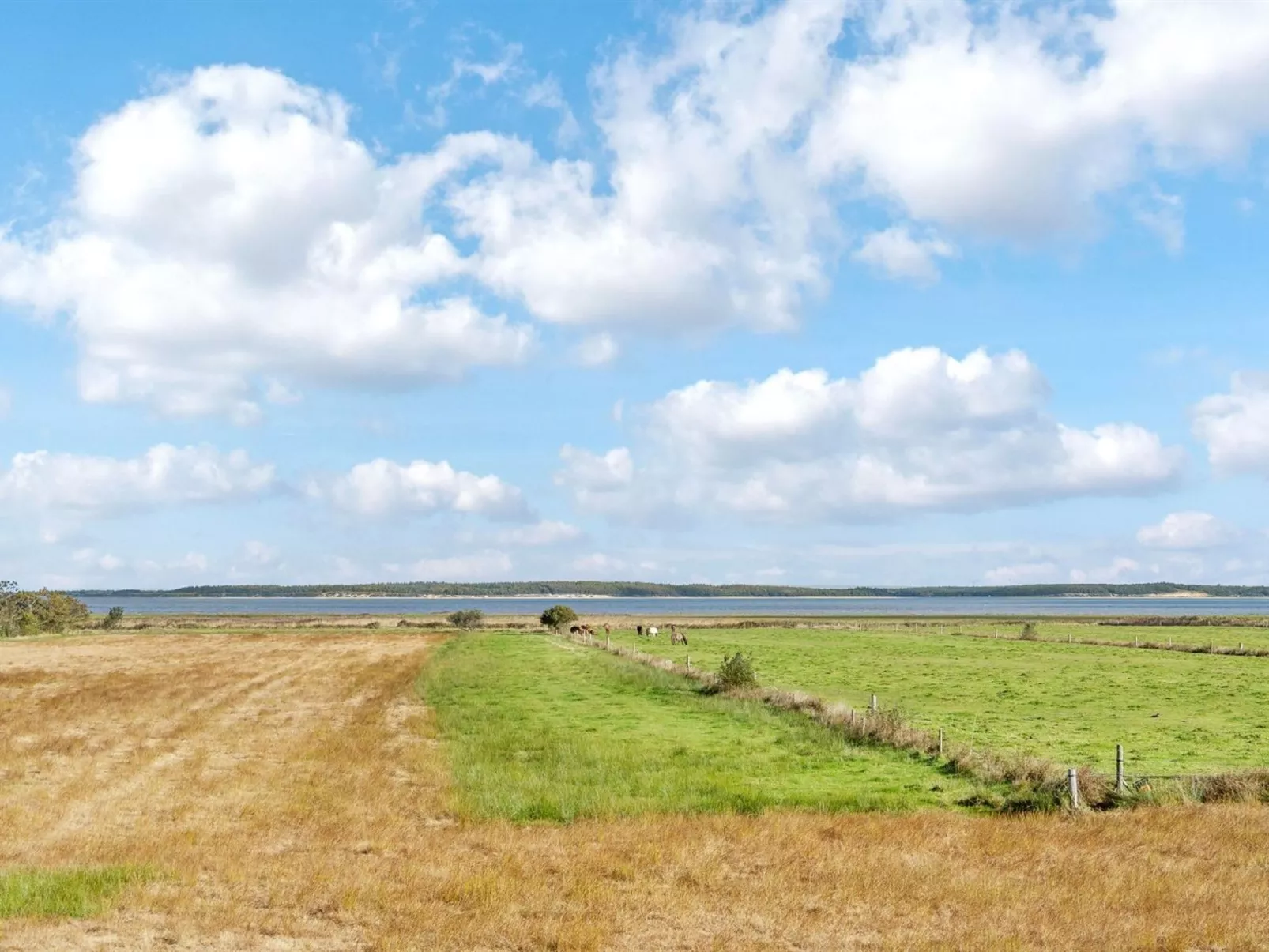 "Aswaldi" - 3.5km from the sea - Draußen