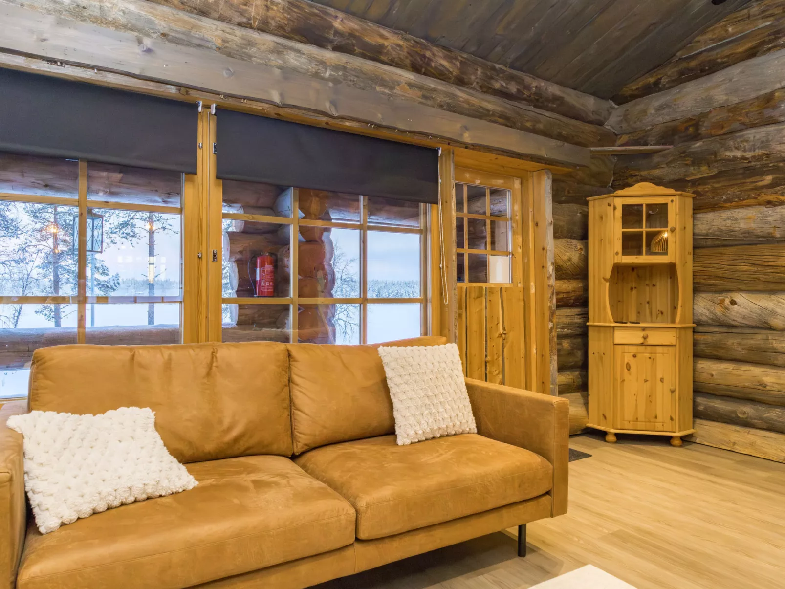 Lumikenttien kutsu - Dedans