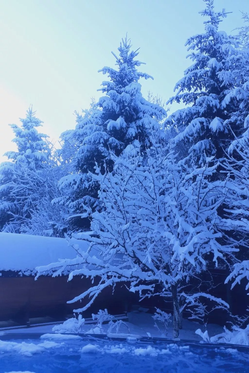 Vila Roberta Breaza Brasov - Outside