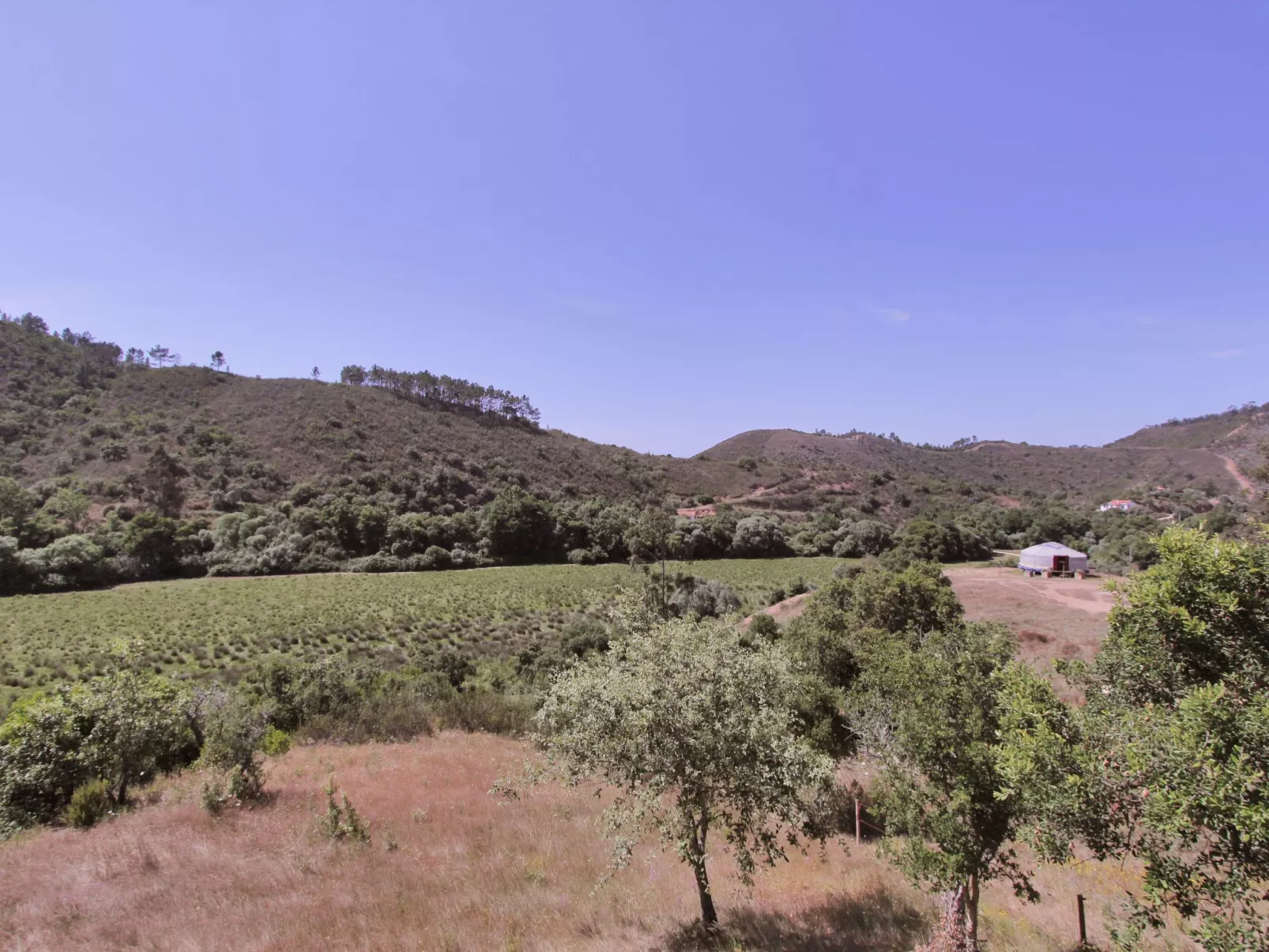 Romantisch und einzigartig "Das Bambus-Apartment" - Outside