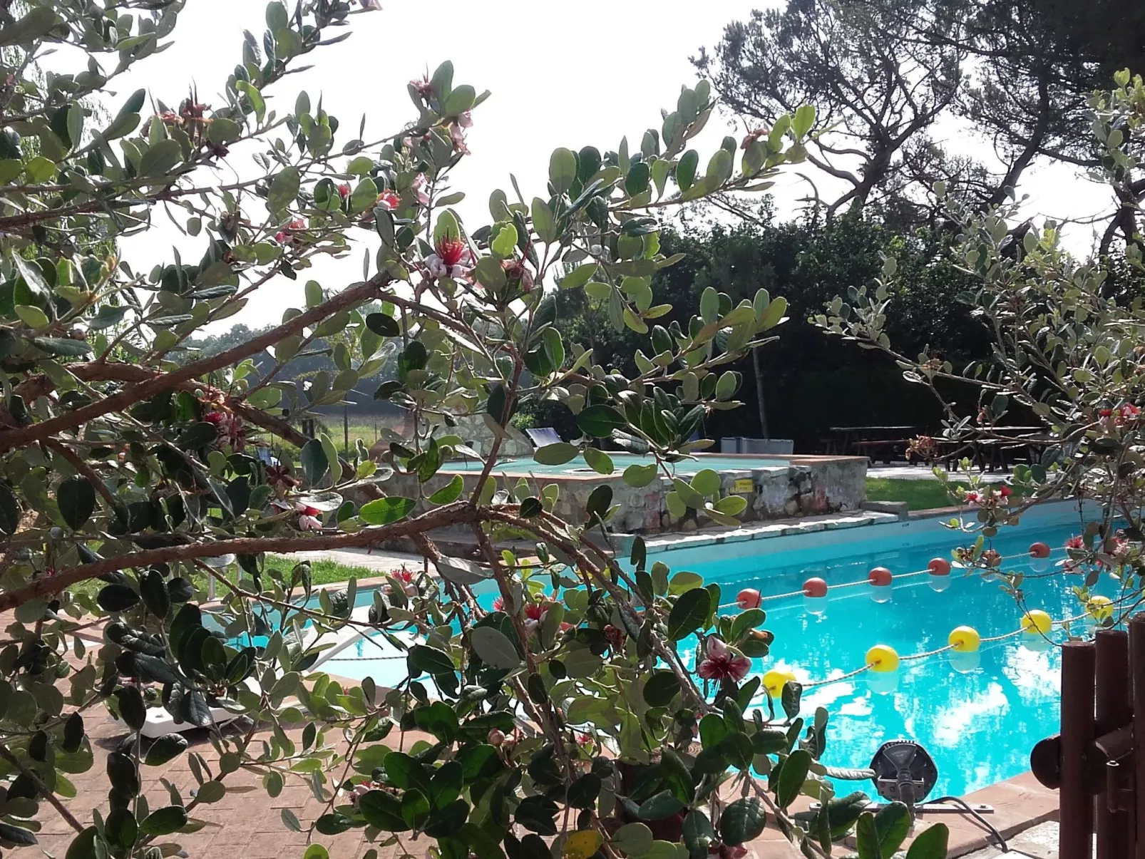 Junior Suite - Draußen