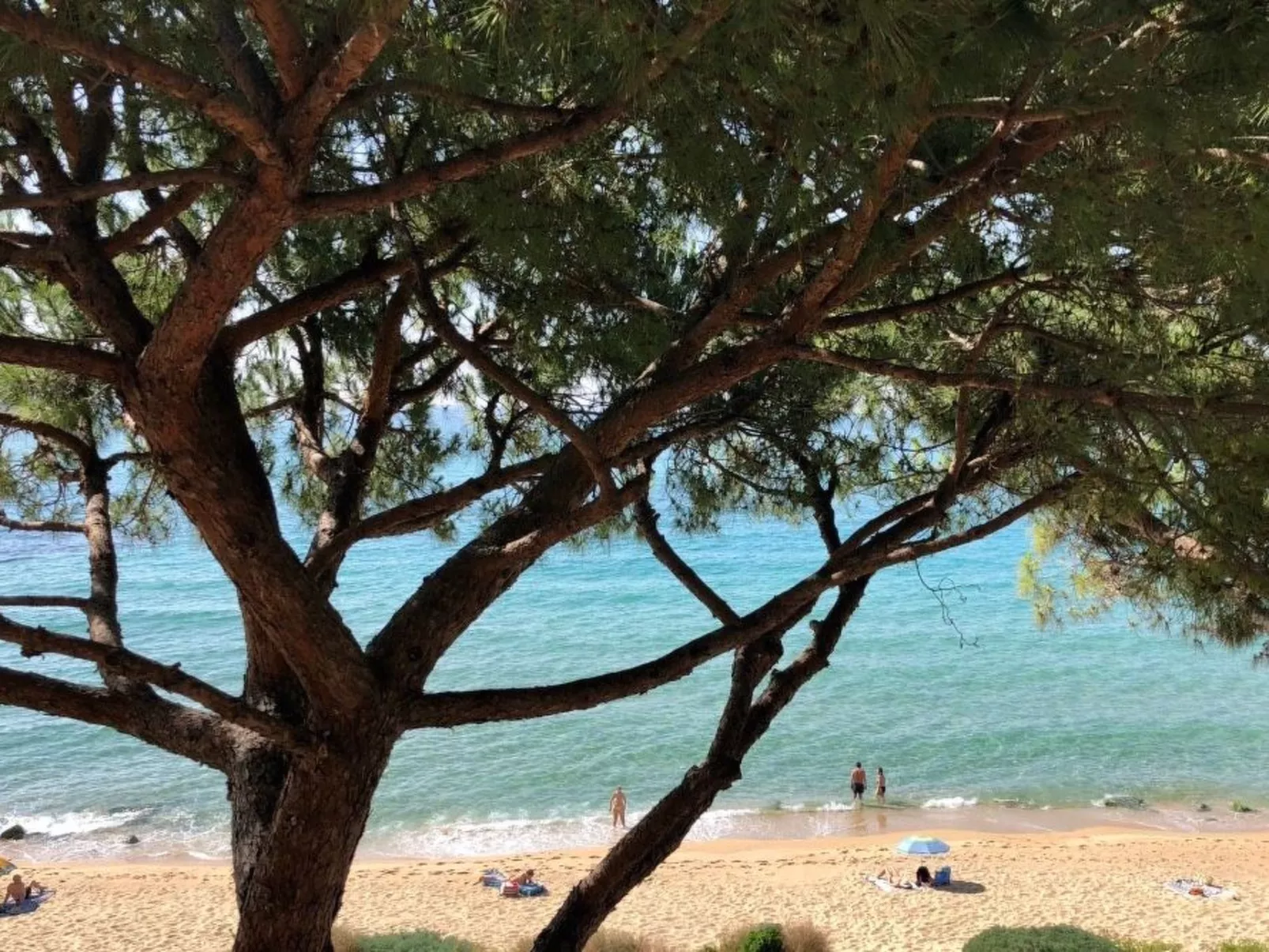 Wohnung an der Strandpromenade - Draußen