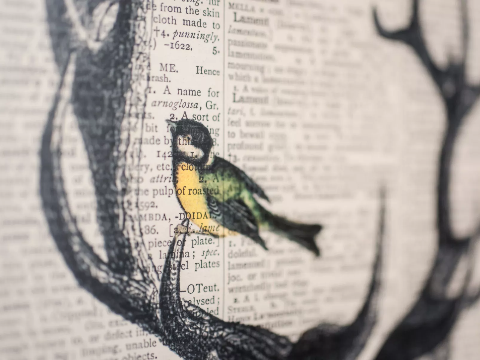 Waters Edge - Outside