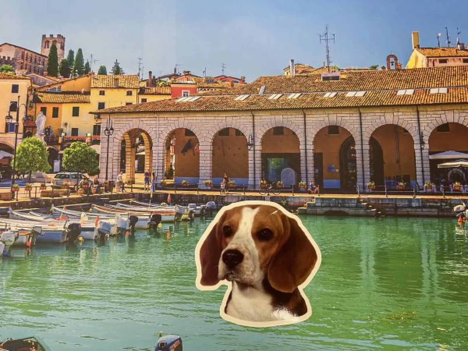 Desenzanoloft A Casa di Bea - Image-tags.info