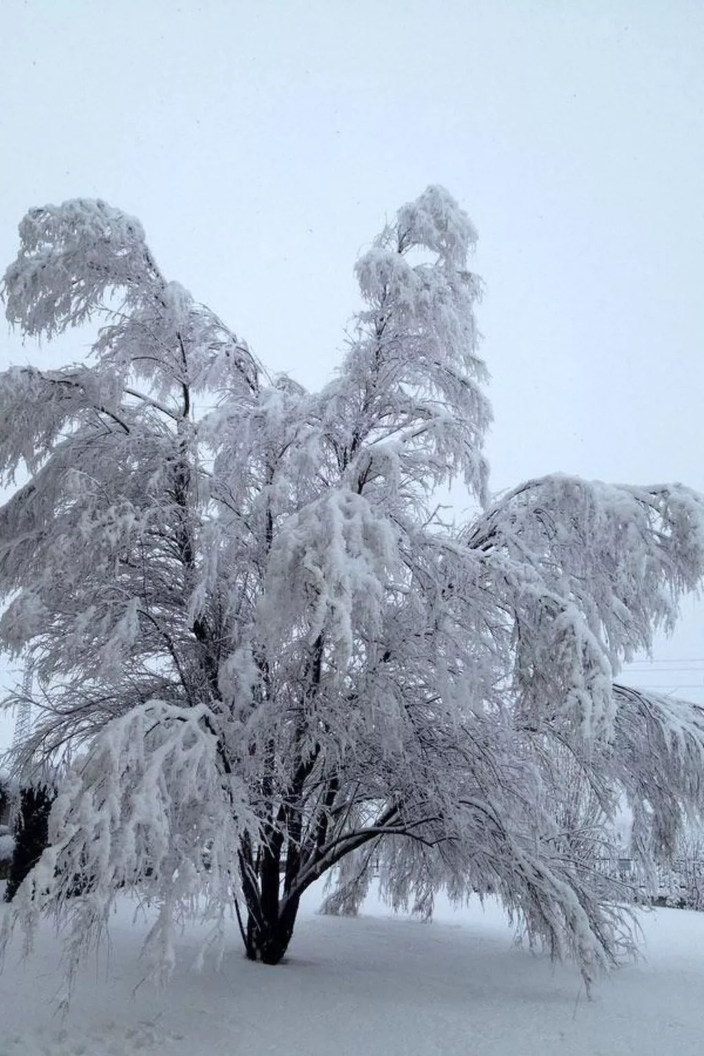 Blaues Zimmer - Draußen