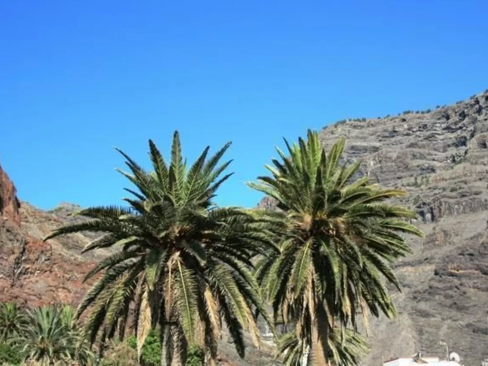 Wohnung "Los Medanos" in Strandnähe - Image-tags.info