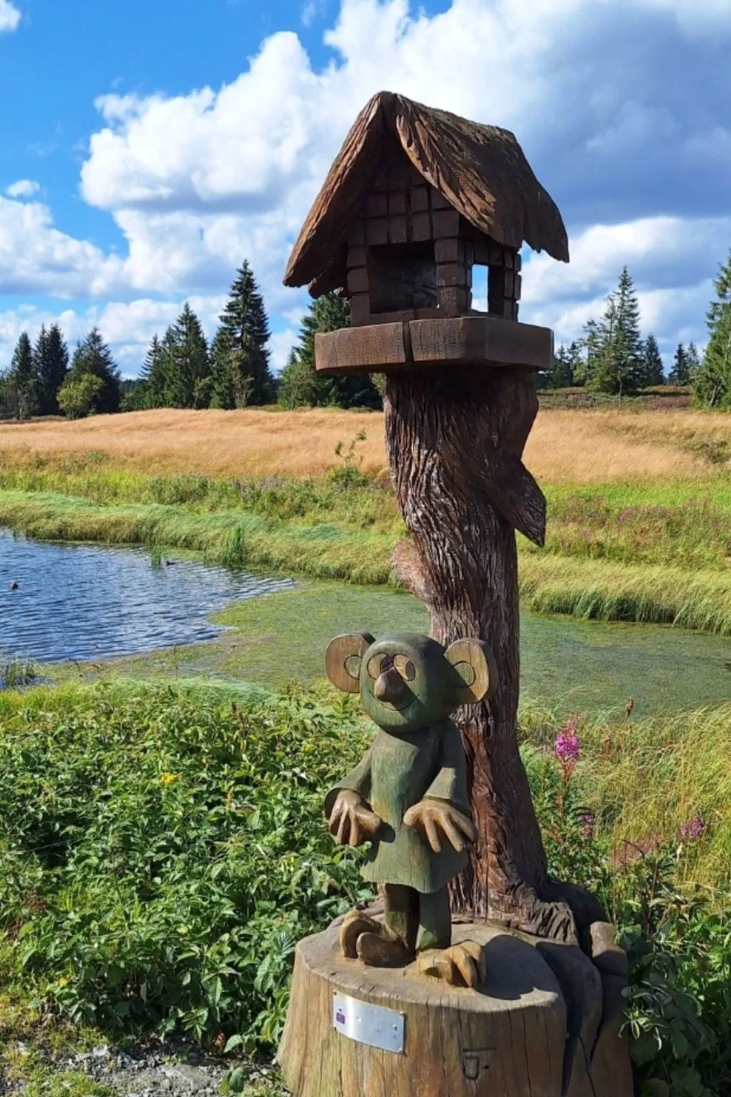 Gästezimmer mit Blick auf die Berge - Draußen