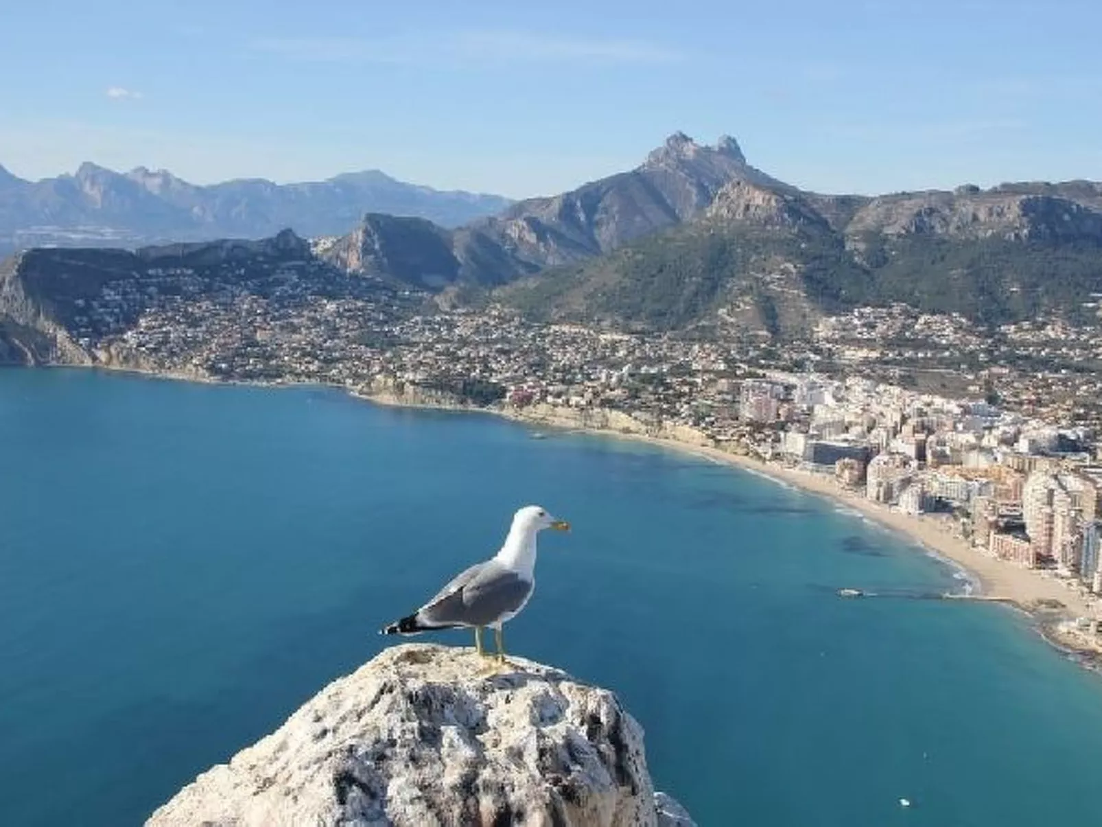 Villa Calalga - PlusHolidays - Image-tags.info