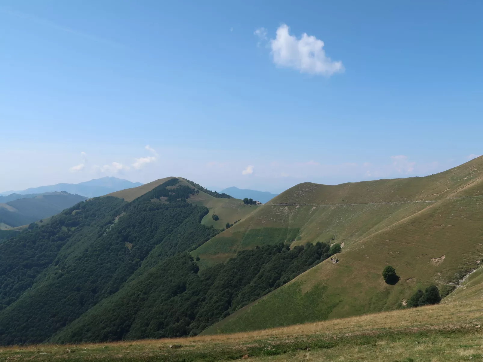 The View 1 - Environnement