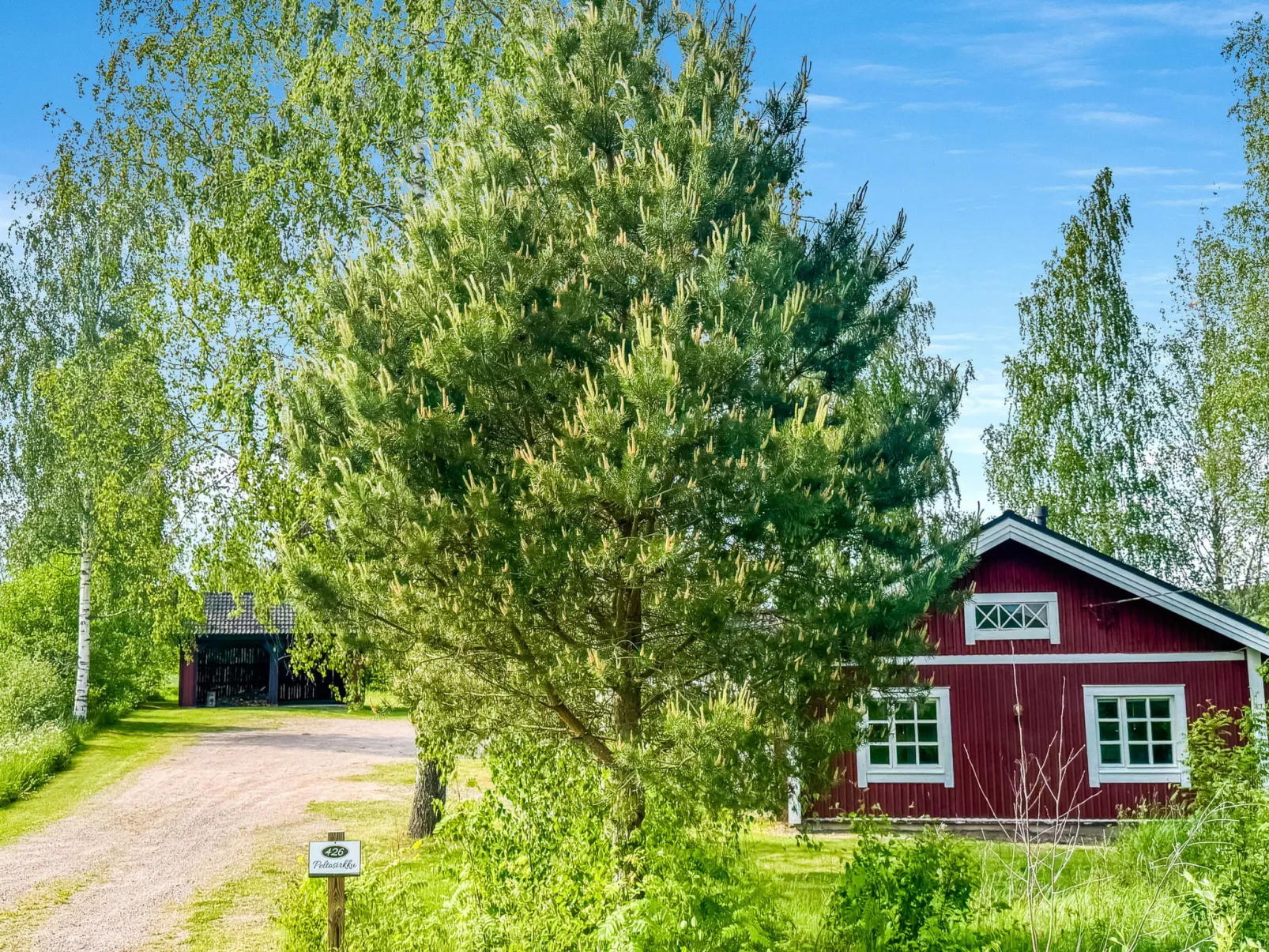 Peltosirkku - Inside