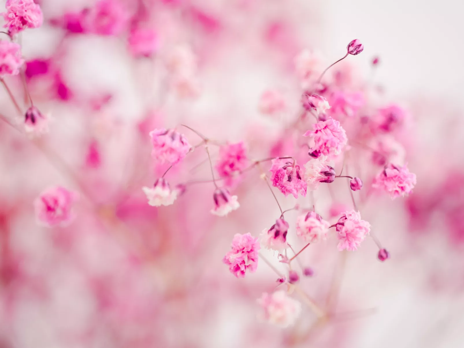 Waters Edge - Inside