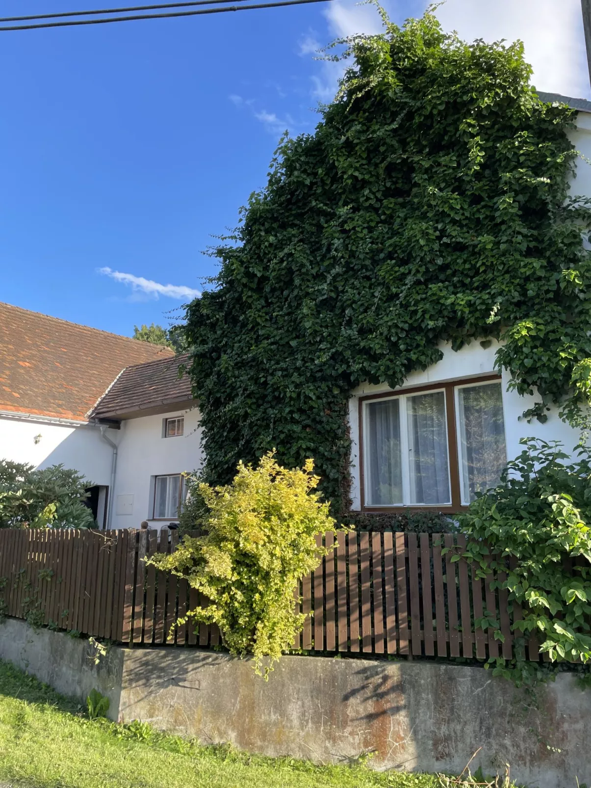 Forrest Haven Vodice - Outside