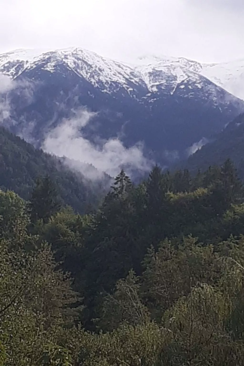 Vila Roberta Breaza Brasov - Outside