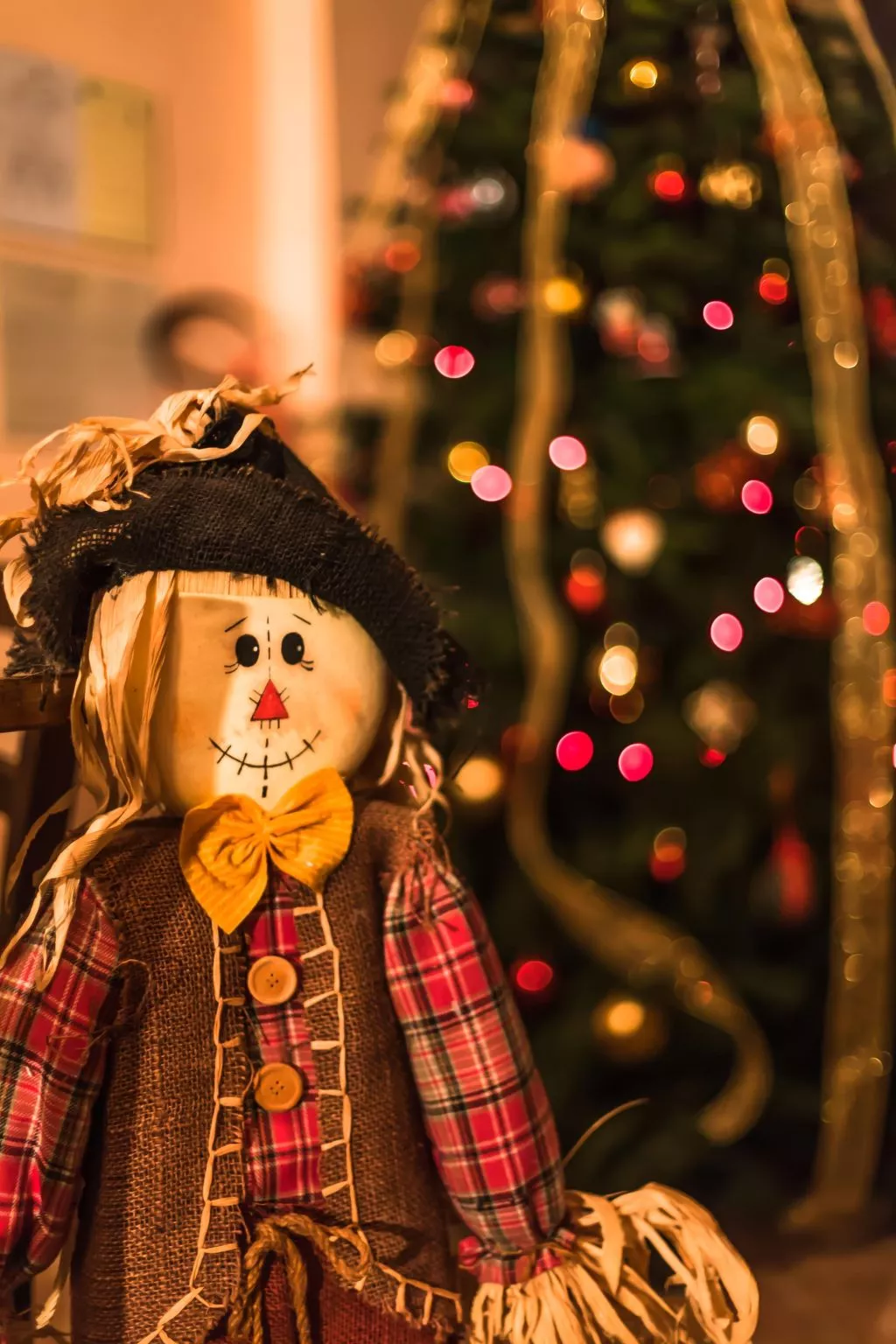 Wohnung "Mimosa" auf einem Bauernhof - Inside