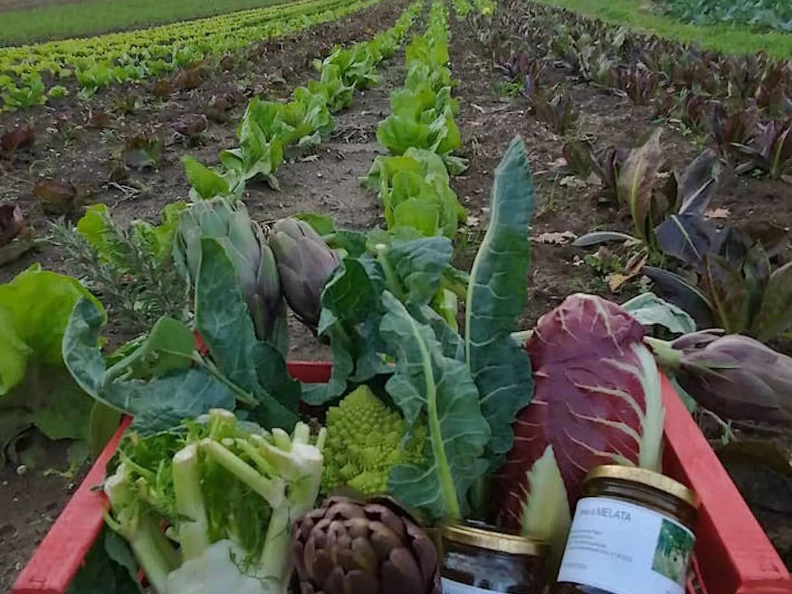 Lets di Proietti' Ferienhaus - Image-tags.info