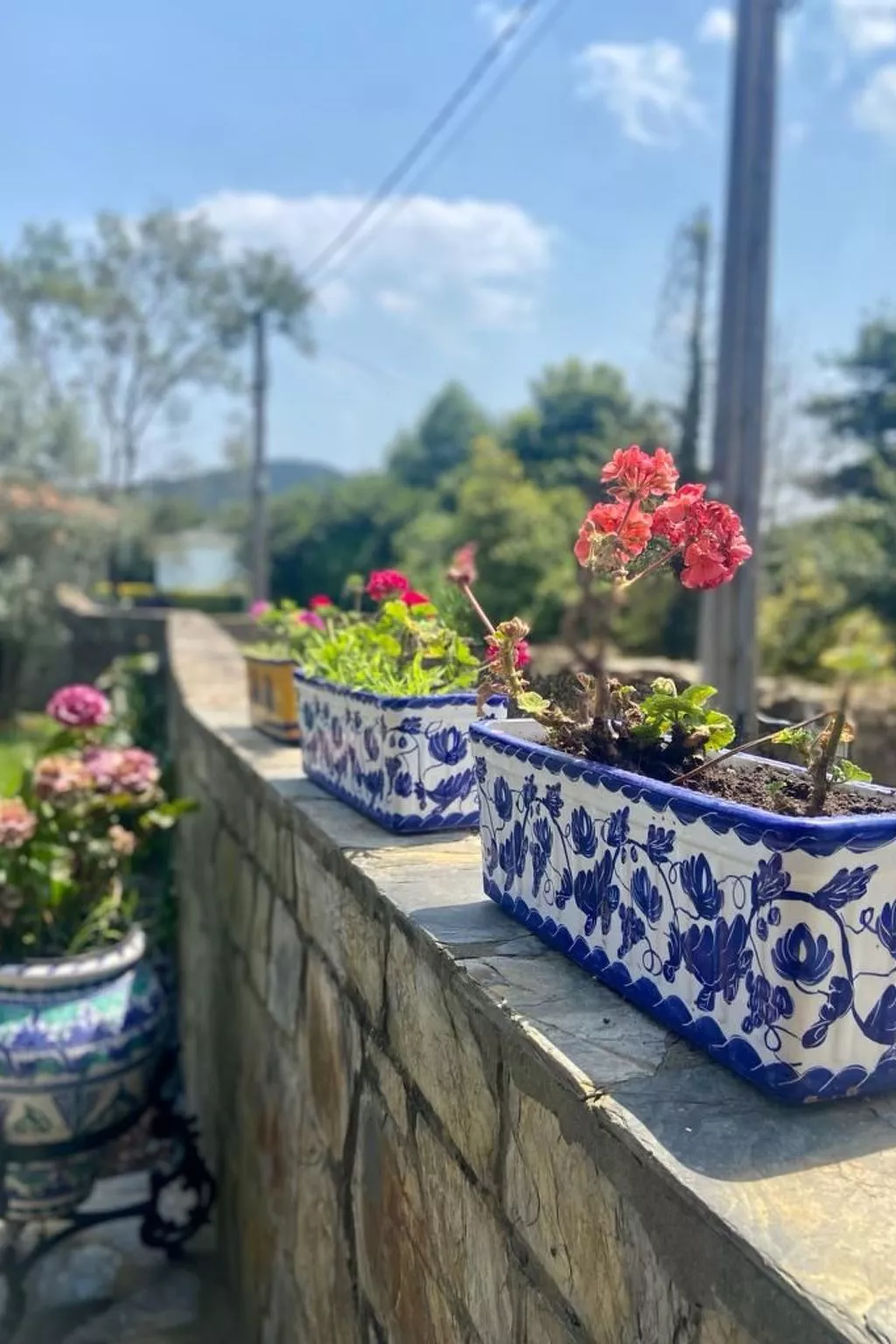 Ländliches Anwesen "Mar y Montaña" (Meer und Berge) - Dehors