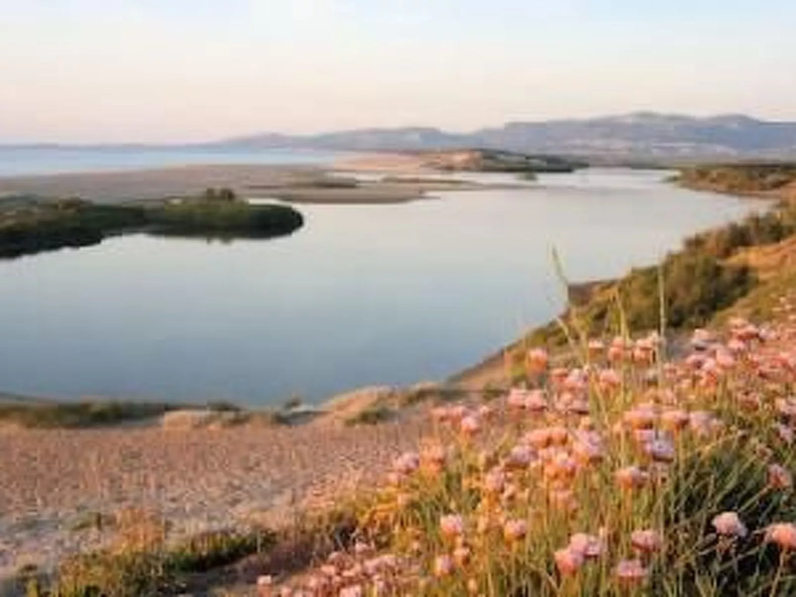 Sa Fiorida Alice II - Outside