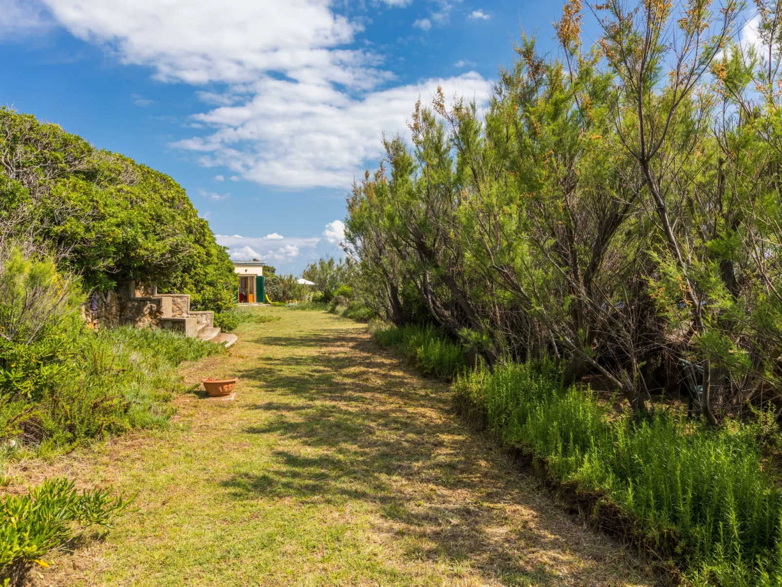 Il Giardino sul Mare - Dehors