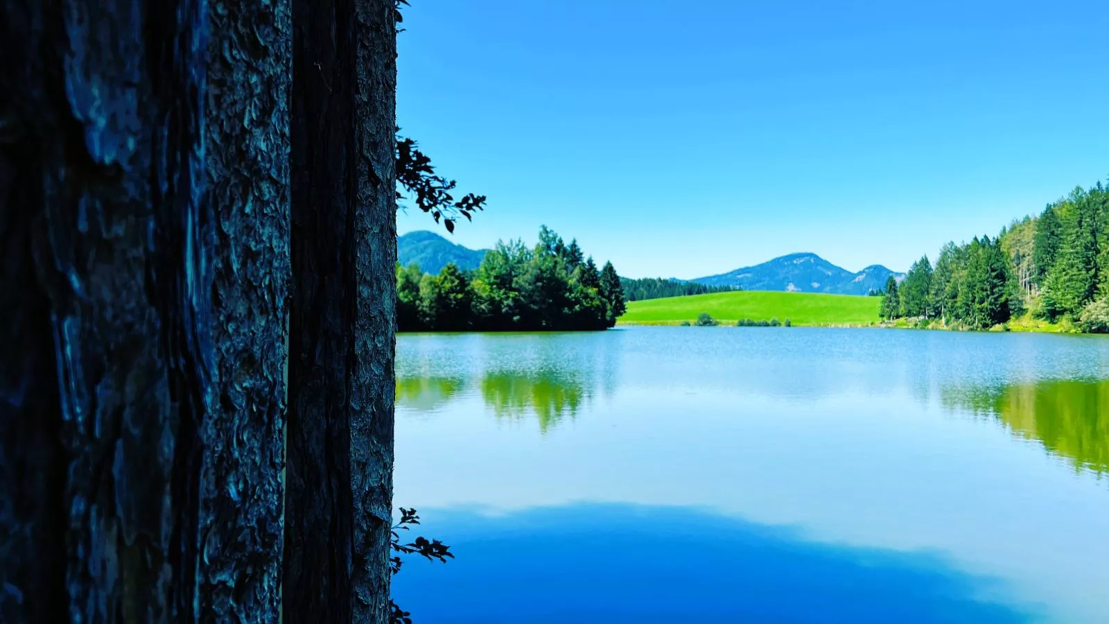 Grebenzen Top Chalet Mazzel-Areas summer 5km