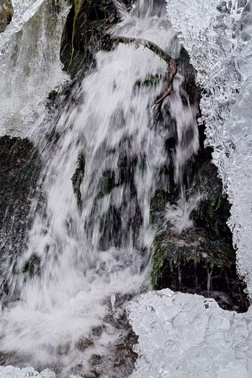 Gästezimmer mit Blick auf die Berge - Draußen
