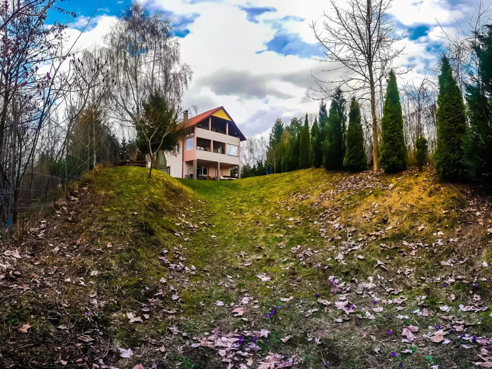 Vila Roberta Breaza Brasov - Outside