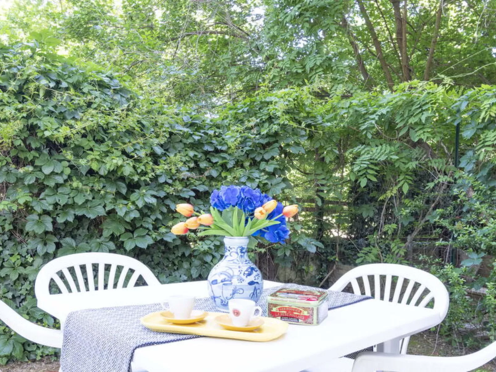 Suite Vogel - Draußen