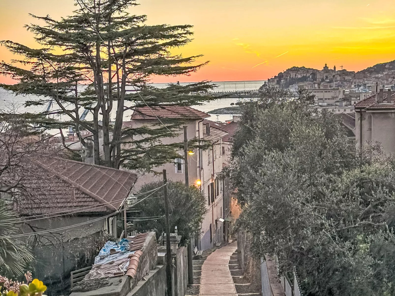 FouFou NEU - Outside