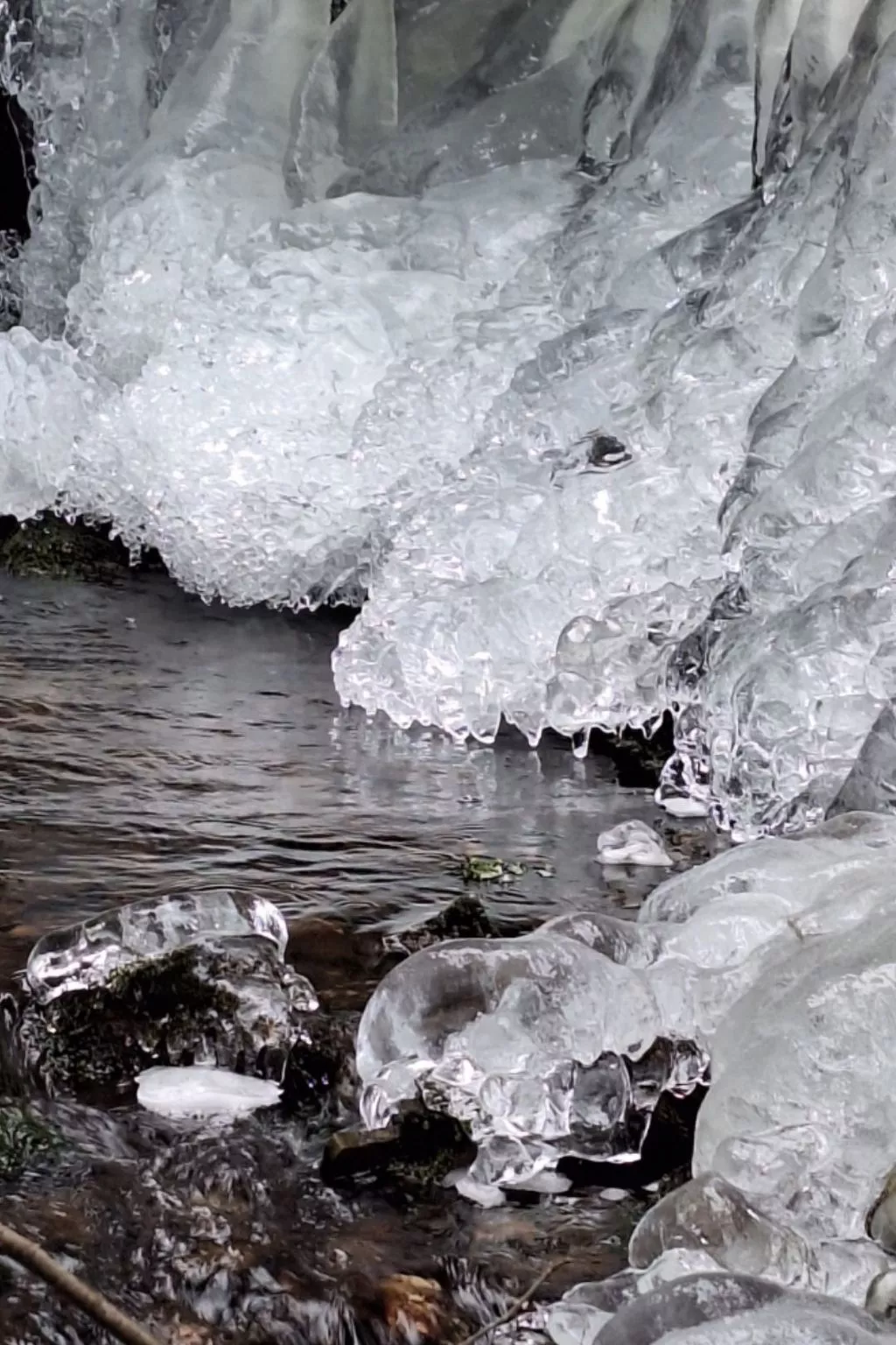 Gästezimmer mit Blick auf die Berge - Draußen