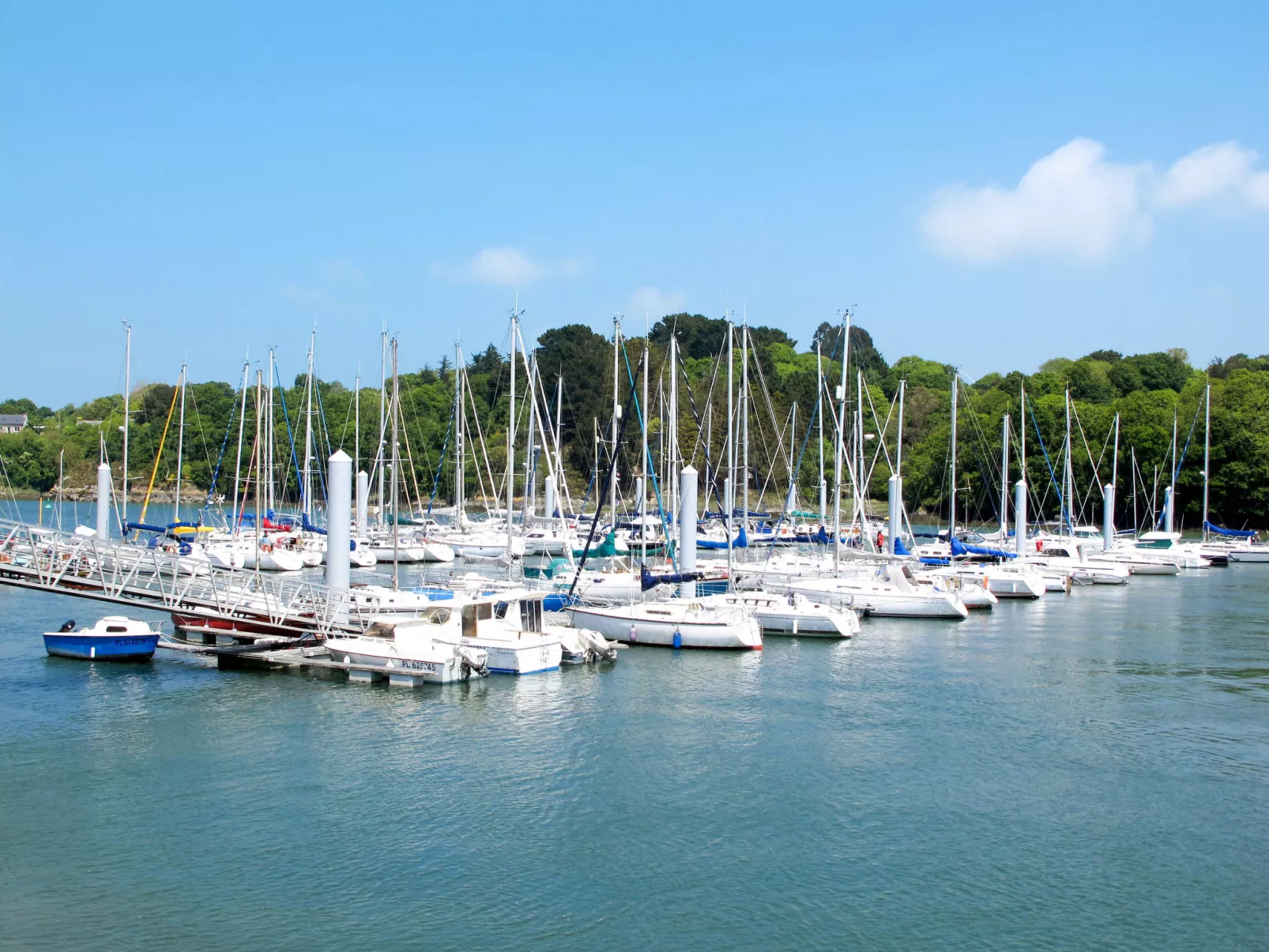 Elioluaso - Environnement