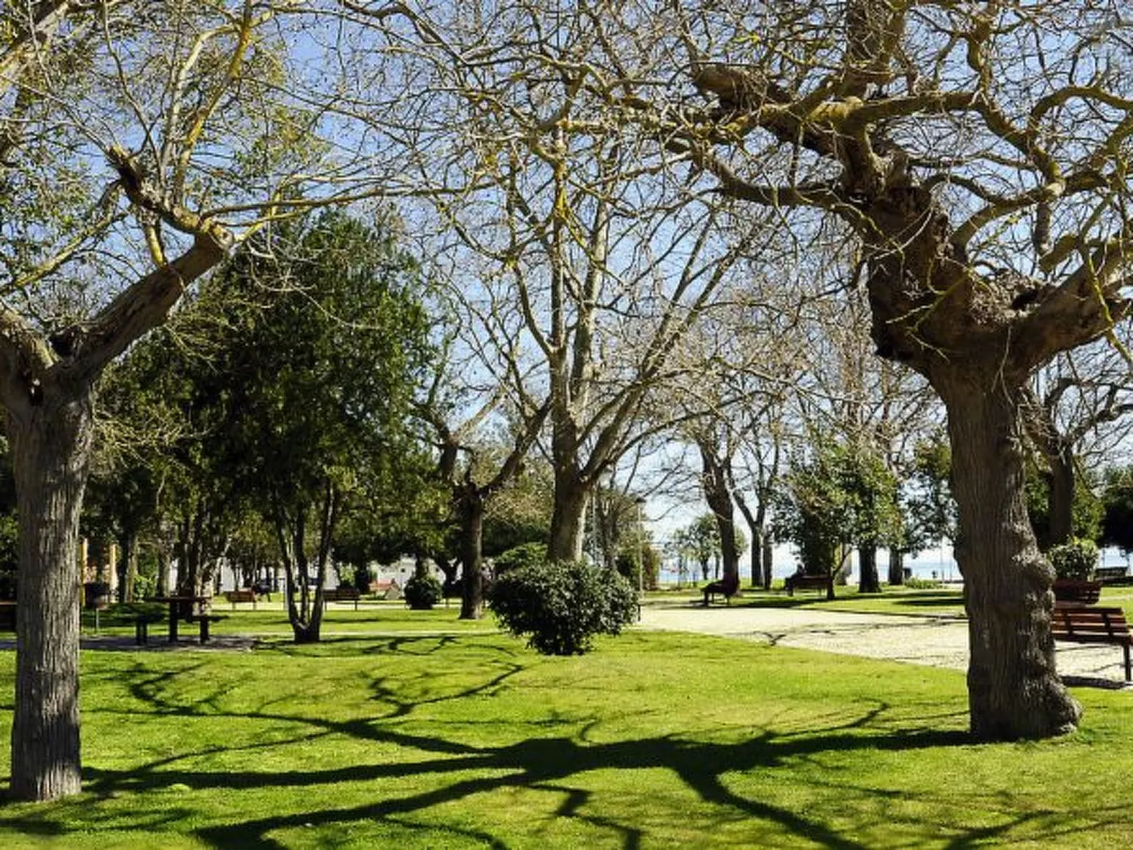 Sado Blue City&River Flats - Galapinhos - Outside