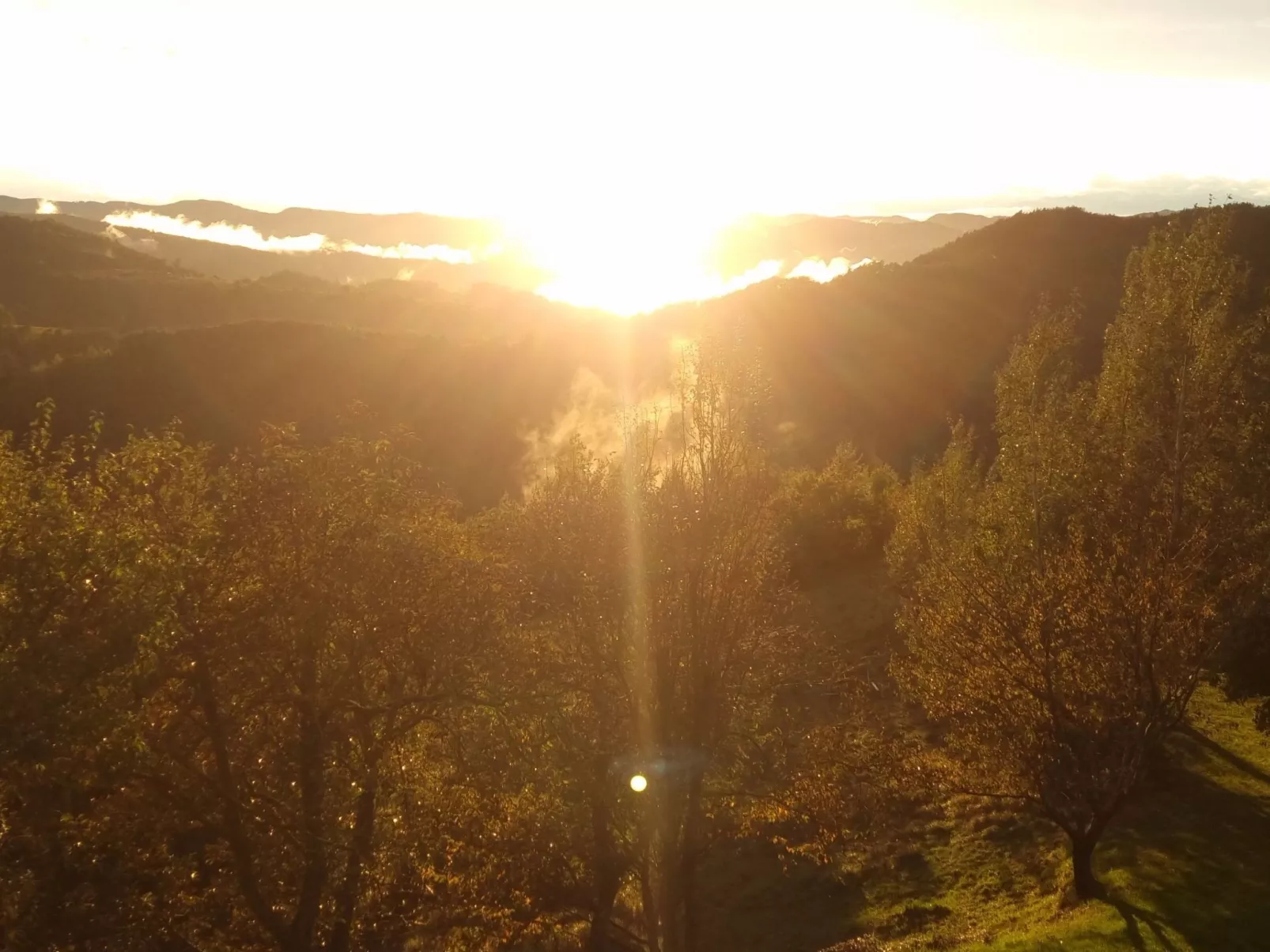 Rustikales und charmantes Doppelzimmer "Olmo Gentile" - Outside