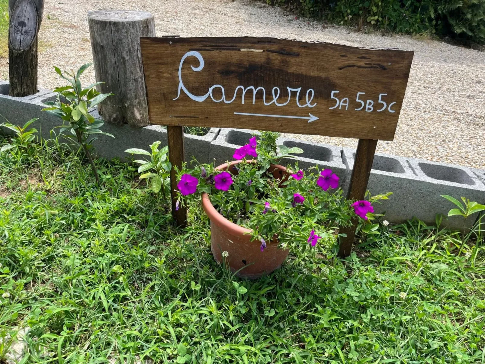 Orchideen-Zimmer - Draußen