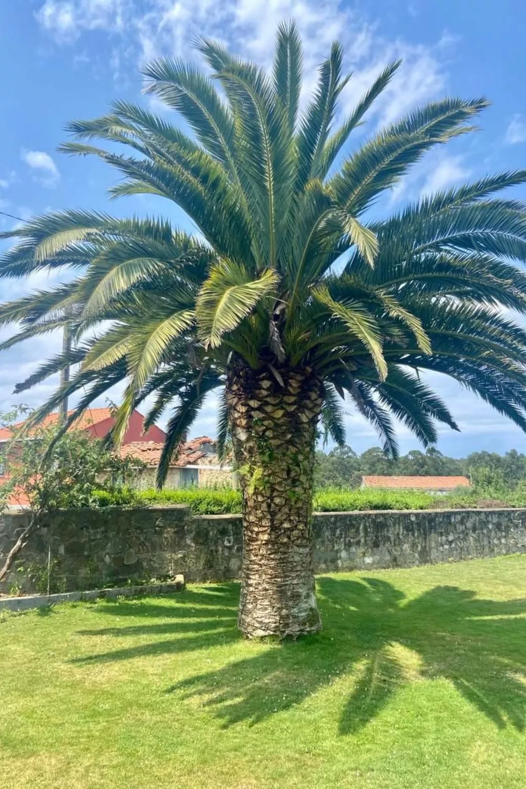 Ländliches Anwesen "Mar y Montaña" (Meer und Berge) - Dehors
