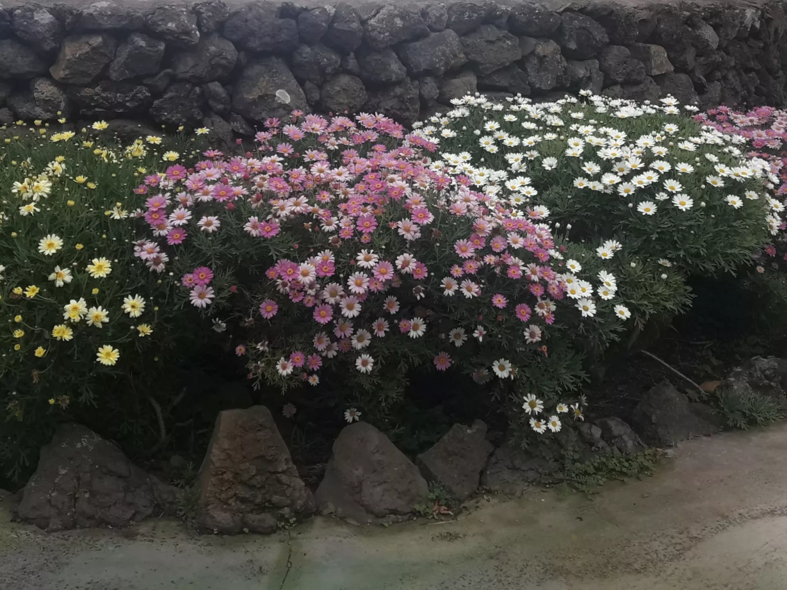 "Casa El Vallito" schönes Steinhaus - Dehors