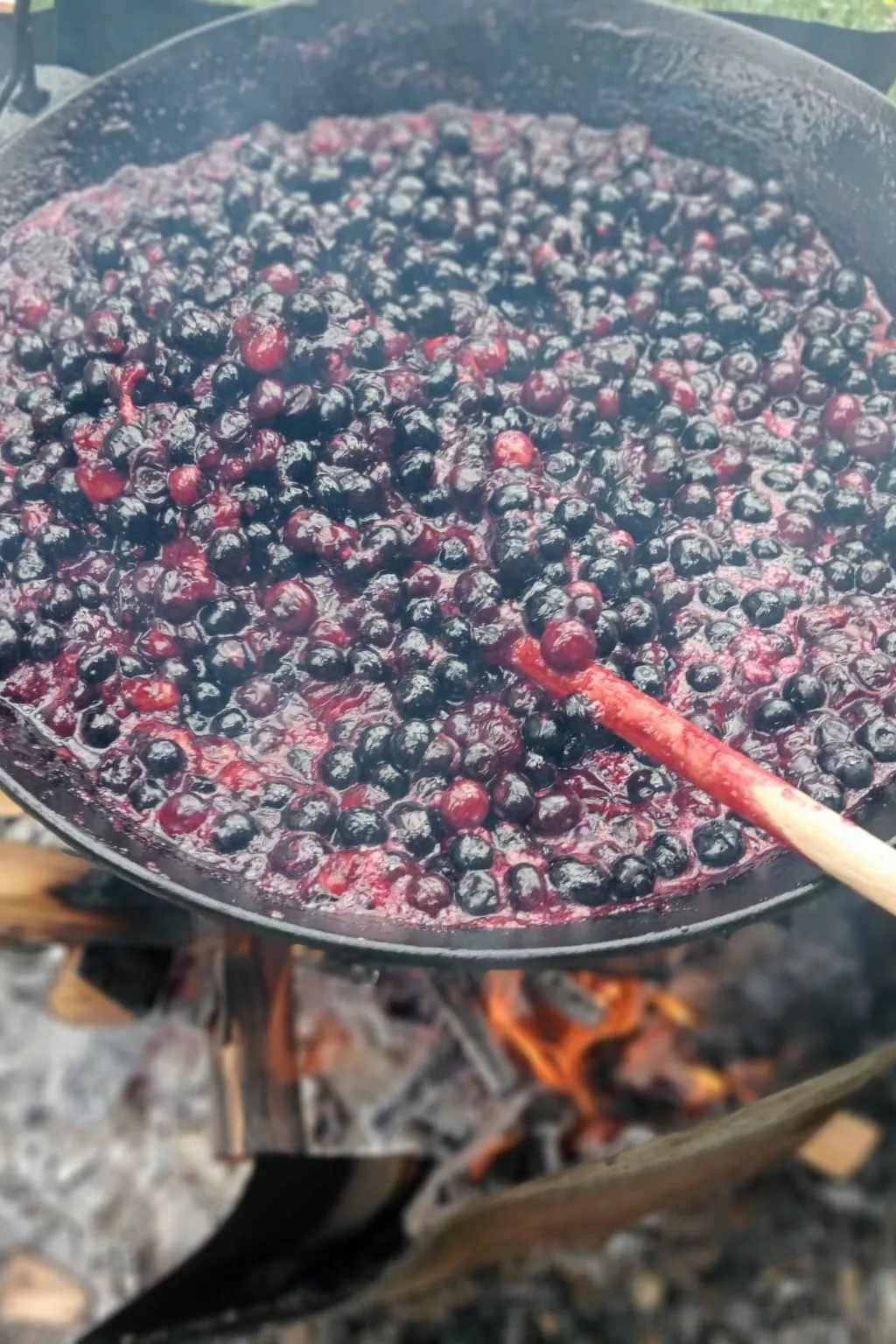 Vila Roberta Breaza Brasov - Inside