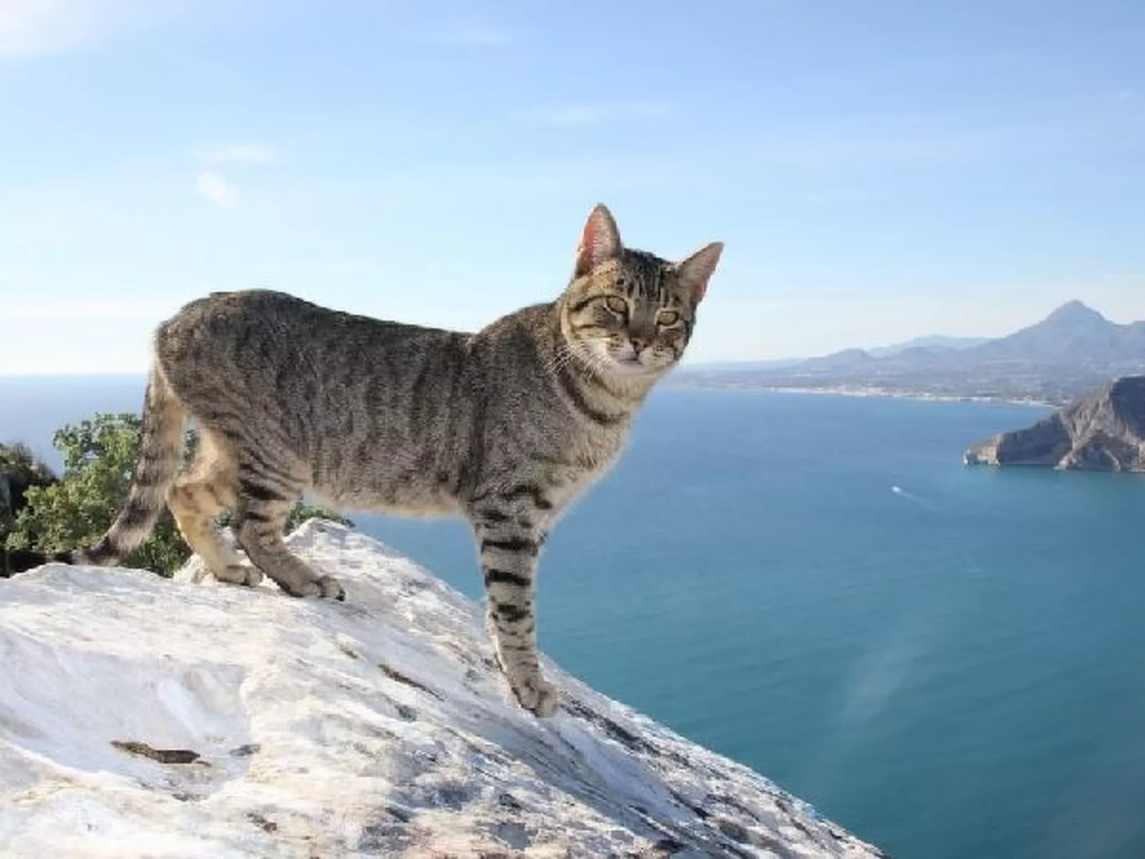 Villa Yoko - PlusHolidays - Image-tags.info