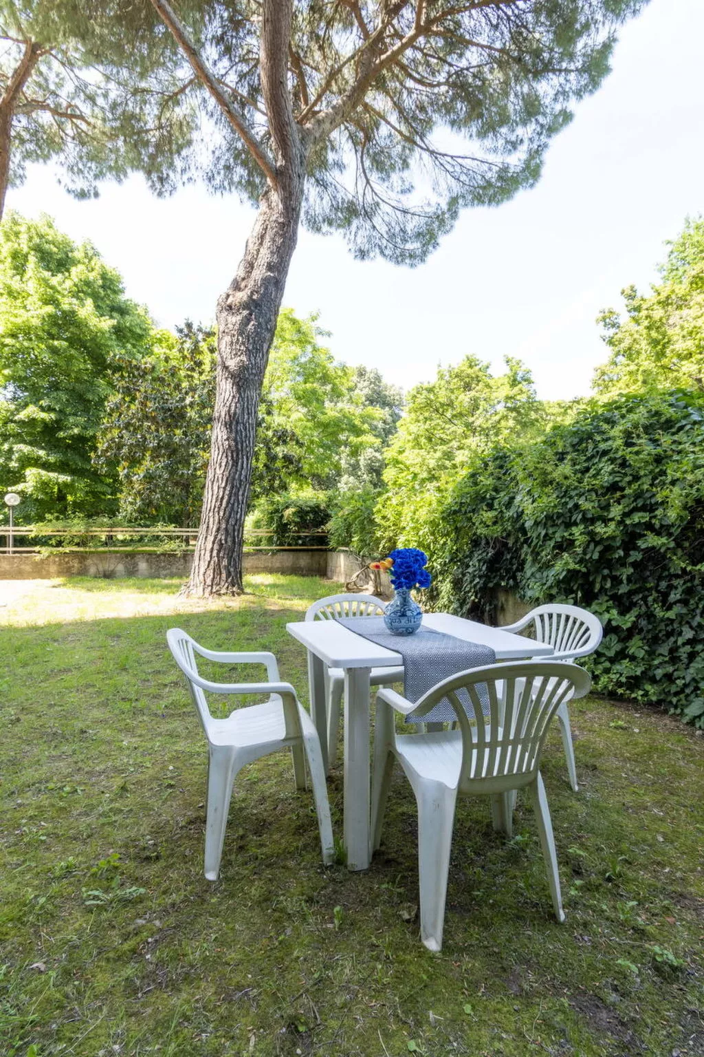 Suite Vogel - Draußen