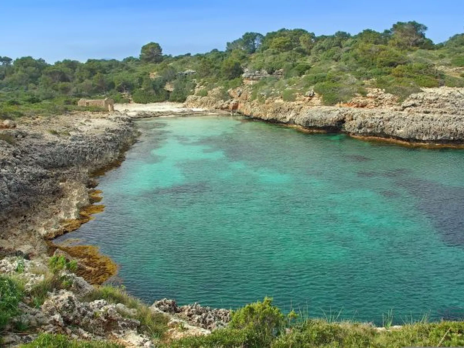 La Ola Beach House - Image-tags.info