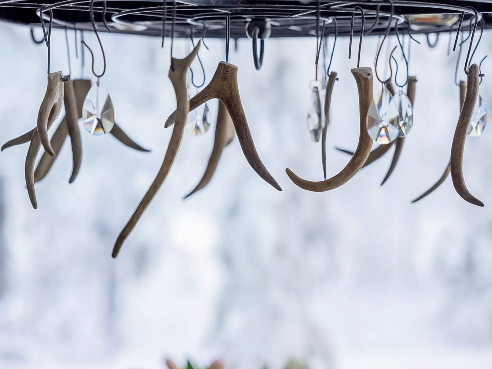 Loma-saaga 3 - Dedans