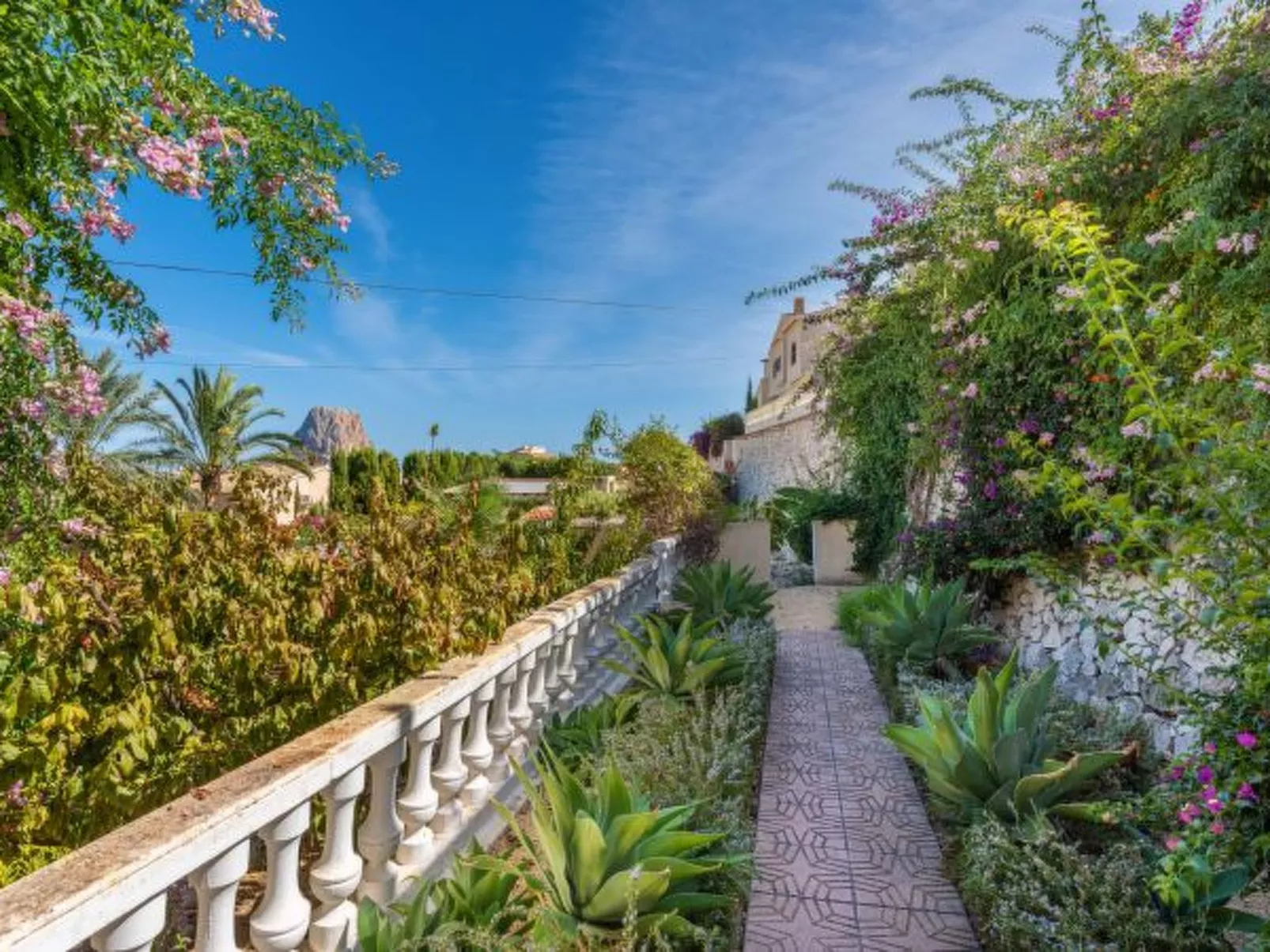 Villa Aloe - Plus - Image-tags.info