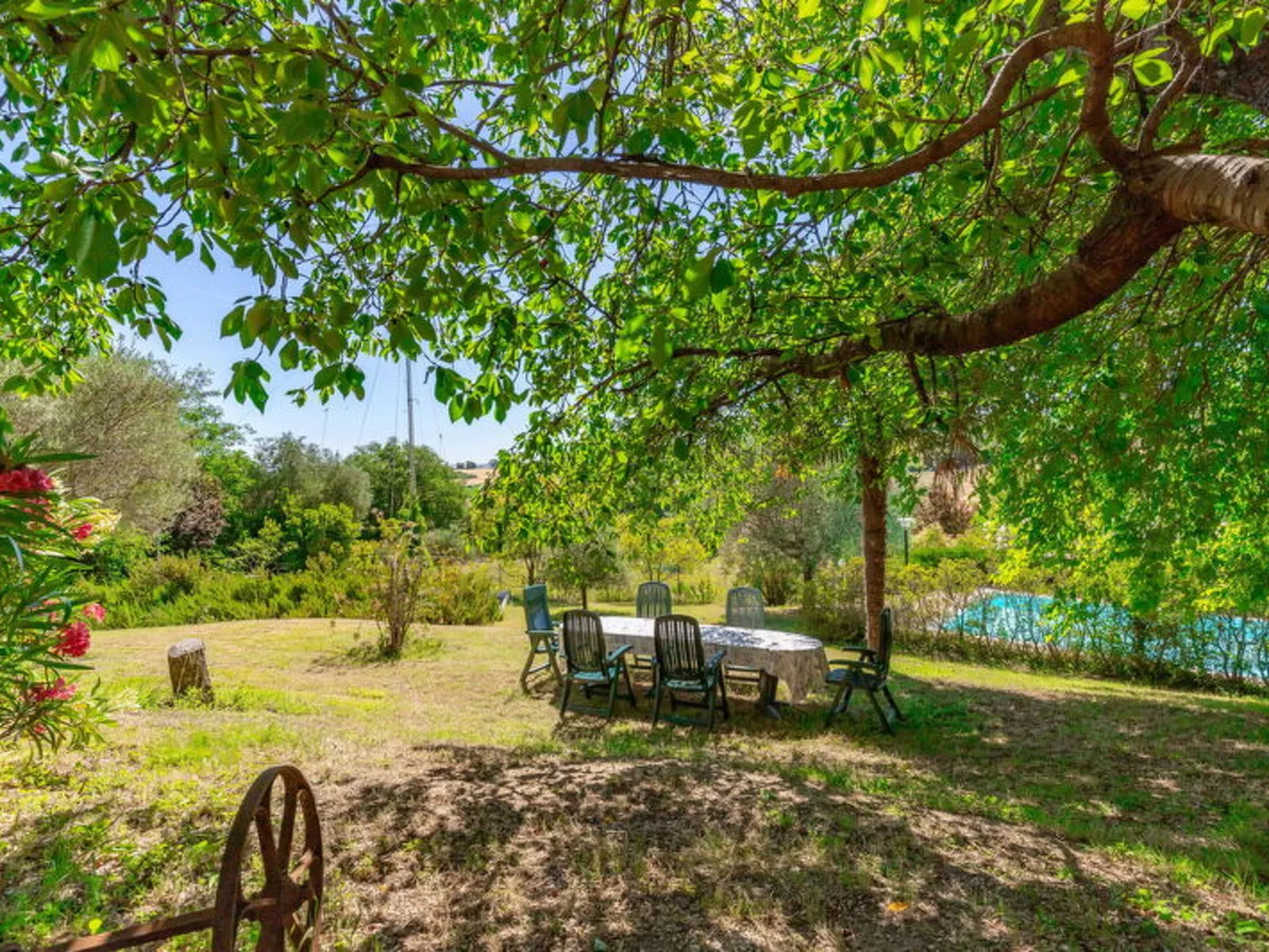 Villa La Pagliarina - Dehors