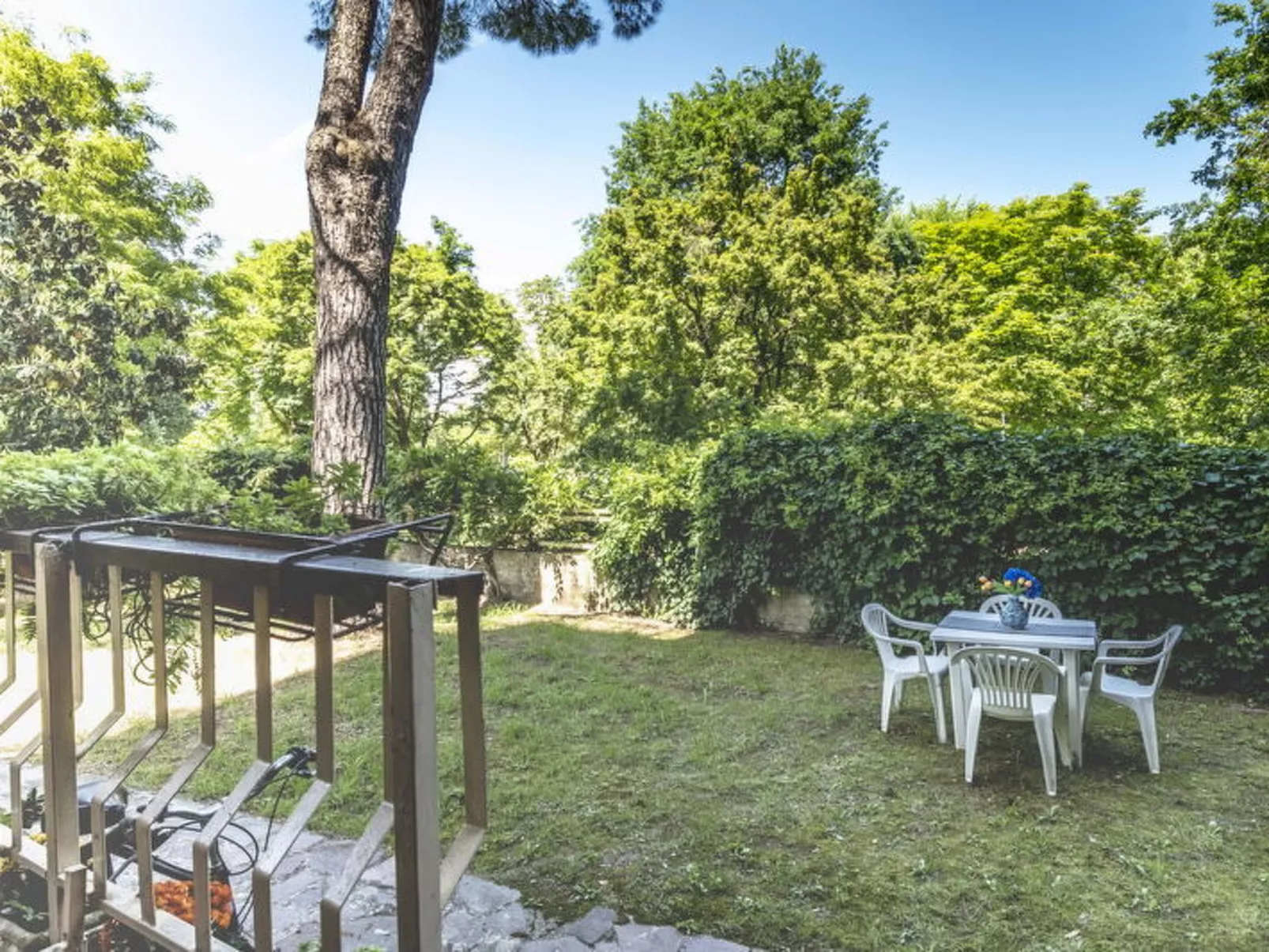 Suite Vogel - Draußen